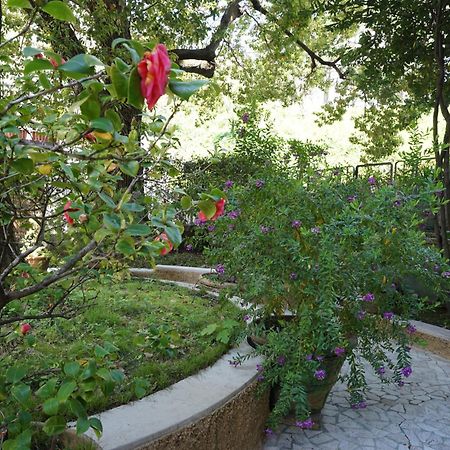 شقة La Casa Dell'Albero لا سبيتسْيا المظهر الخارجي الصورة